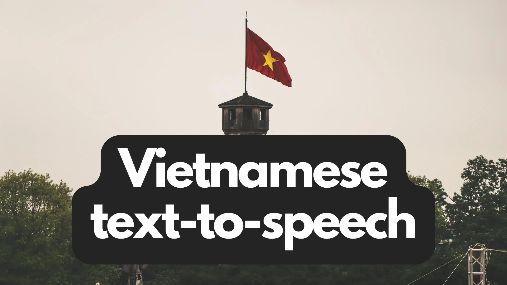 text to speech vietnamese voice