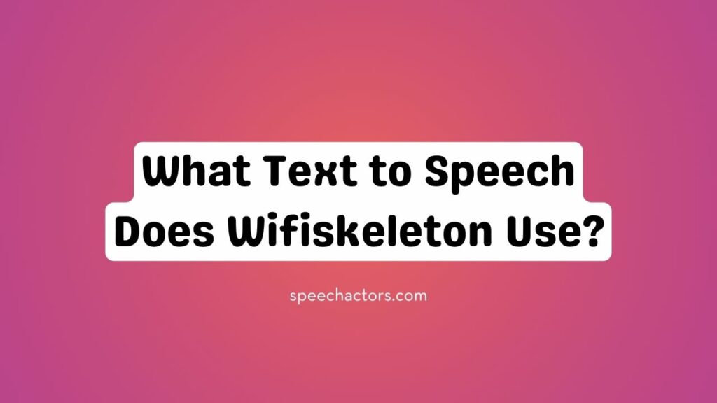 What Text to Speech Does Wifiskeleton Use